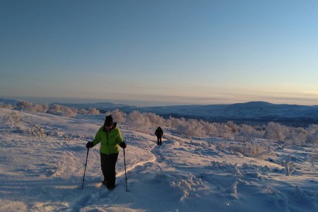 Winteravontuur Fjallnas Zweden Sneeuwschoenwandelen