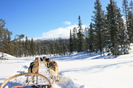 Wintersportreis Zweden Anok Stoten I Salen 10