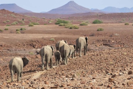 Himba Namibi%C3%AB Suid Afrika Reise Douwe Baas