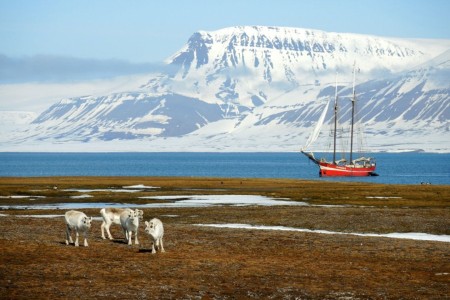 Zeilreis Door Isfjorden Noorderlicht Jan Belgers 2