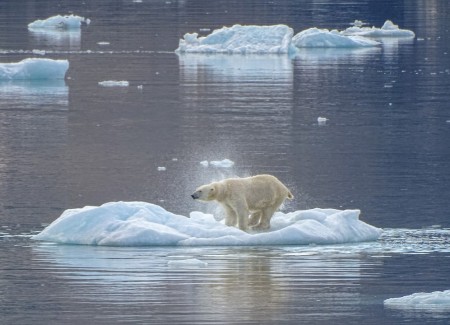 Zeilvakantie Spitsbergen Zeilschip Antigua Arctische Lente