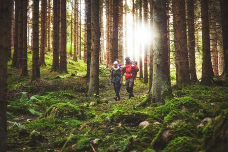 Zomerrondreis Zweden Patrik Svedberg Hiking In The Woods