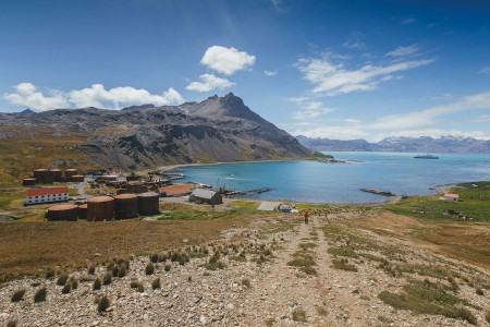 Zuid Georgie Antarctica Pinguin Safari Quark Expeditions   Grytviken South Georgia   Credit David