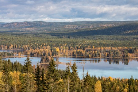 Zweden Varmland Torsby Sophie Waegemaekers 37